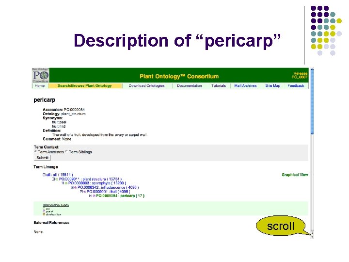 Description of “pericarp” scroll 