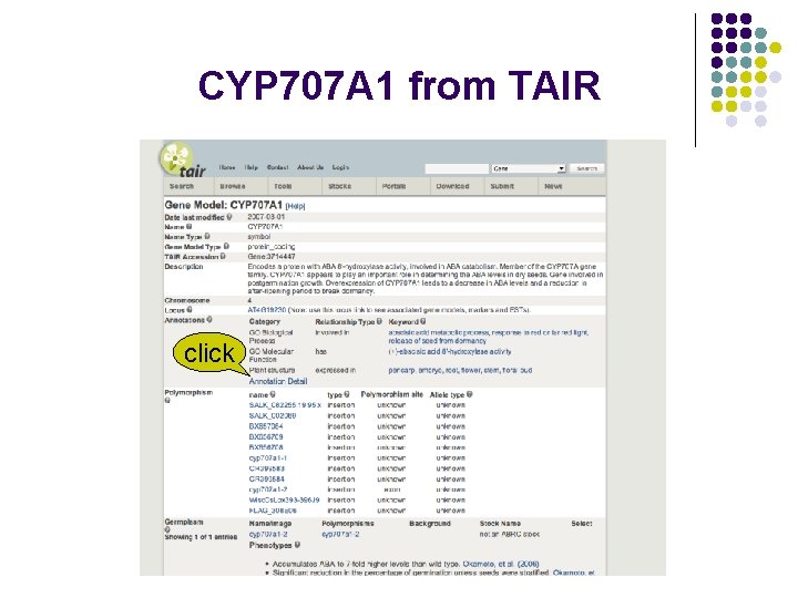 CYP 707 A 1 from TAIR click 