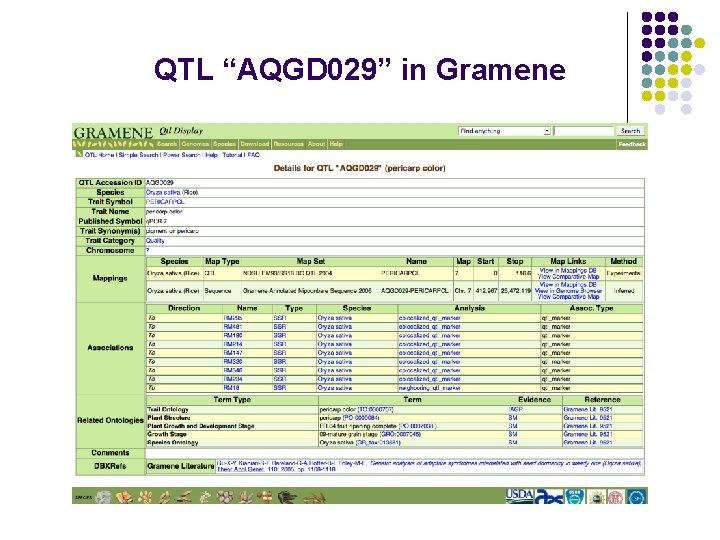 QTL “AQGD 029” in Gramene 