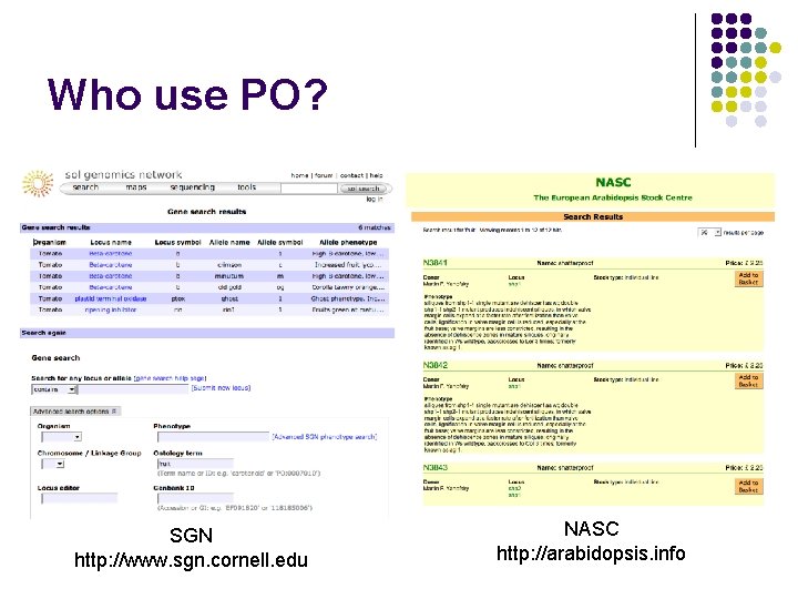 Who use PO? SGN http: //www. sgn. cornell. edu NASC http: //arabidopsis. info 