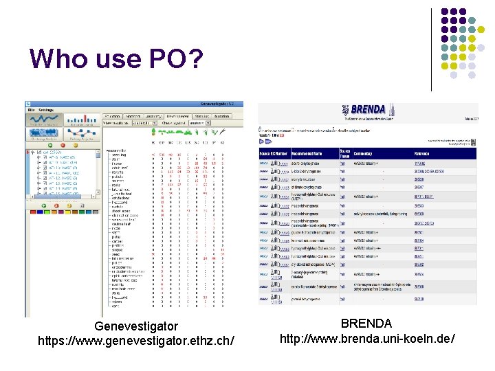 Who use PO? Genevestigator https: //www. genevestigator. ethz. ch/ BRENDA http: //www. brenda. uni-koeln.
