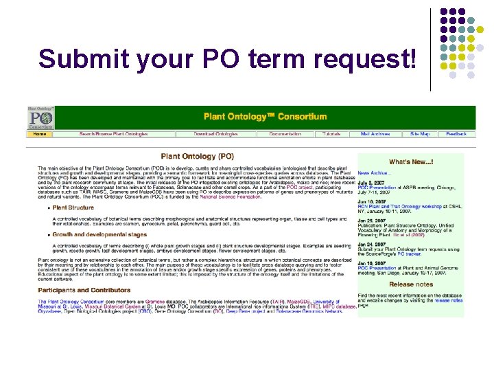 Submit your PO term request! 