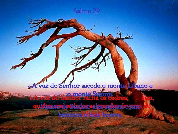 Salmo 29 A voz do Senhor sacode o monte Líbano e o monte Siriom.