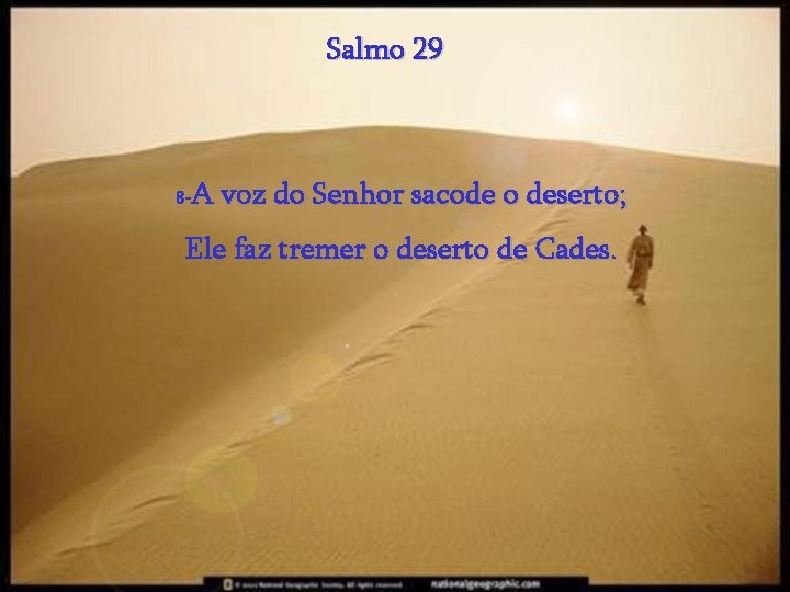 Salmo 29 A voz do Senhor sacode o deserto; 8 - Ele faz tremer