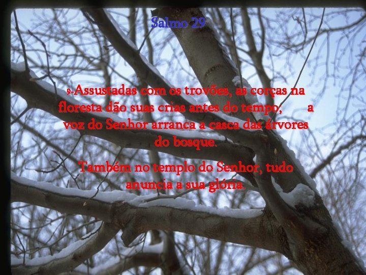 Salmo 29 Assustadas com os trovões, as corças na floresta dão suas crias antes