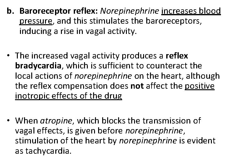 b. Baroreceptor reflex: Norepinephrine increases blood pressure, and this stimulates the baroreceptors, inducing a
