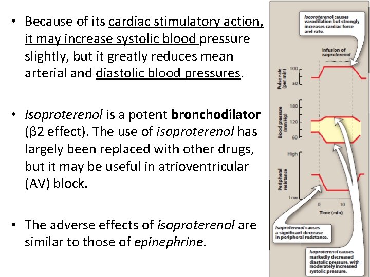  • Because of its cardiac stimulatory action, it may increase systolic blood pressure