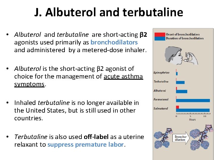 J. Albuterol and terbutaline • Albuterol and terbutaline are short-acting β 2 agonists used