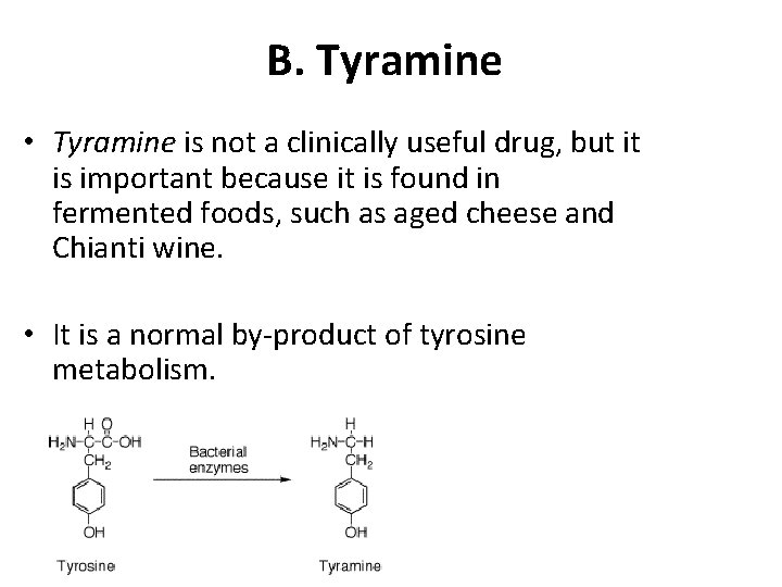 B. Tyramine • Tyramine is not a clinically useful drug, but it is important