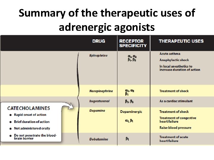 Summary of therapeutic uses of adrenergic agonists 