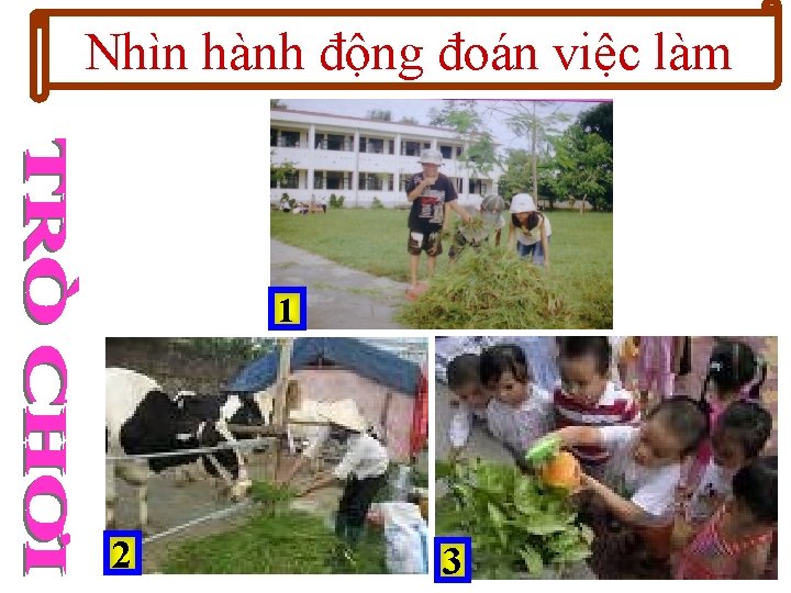 Nhìn hành động đoán việc làm 1 2 3 