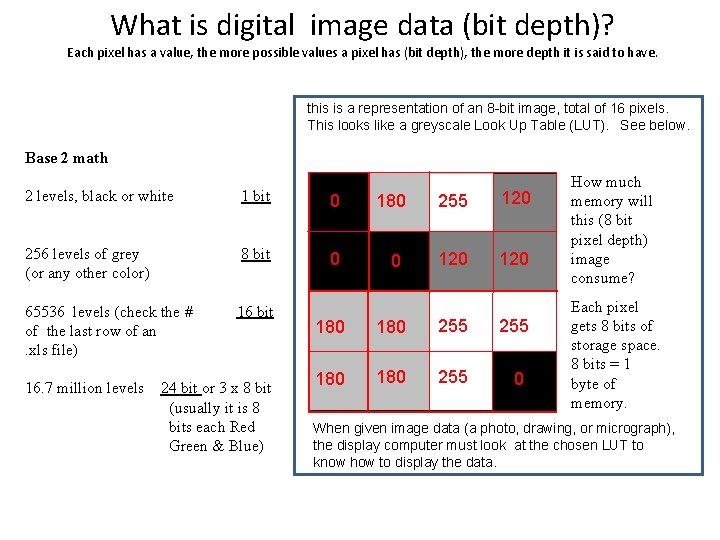 Why a bitmap bmp not a jpg If