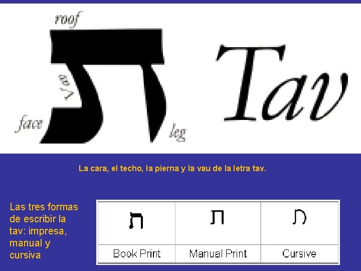 La cara, el techo, la pierna y la vau de la letra tav. Las