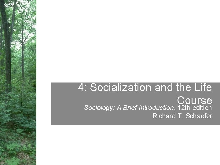 4: Socialization and the Life Course Sociology: A Brief Introduction, 12 th edition Richard