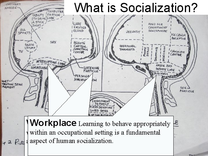 What is Socialization? Workplace. Learningtotobehaveappropriately Workplace withinananoccupationalsettingisisa afundamental within aspectofofhumansocialization. aspect 