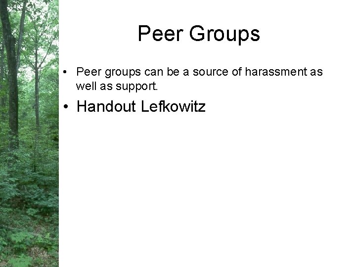 Peer Groups • Peer groups can be a source of harassment as well as