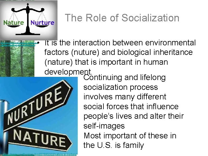 The Role of Socialization • It is the interaction between environmental factors (nuture) and