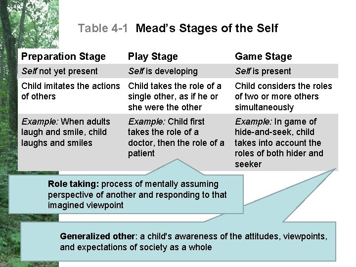 Table 4 -1 Mead’s Stages of the Self Preparation Stage Play Stage Game Stage