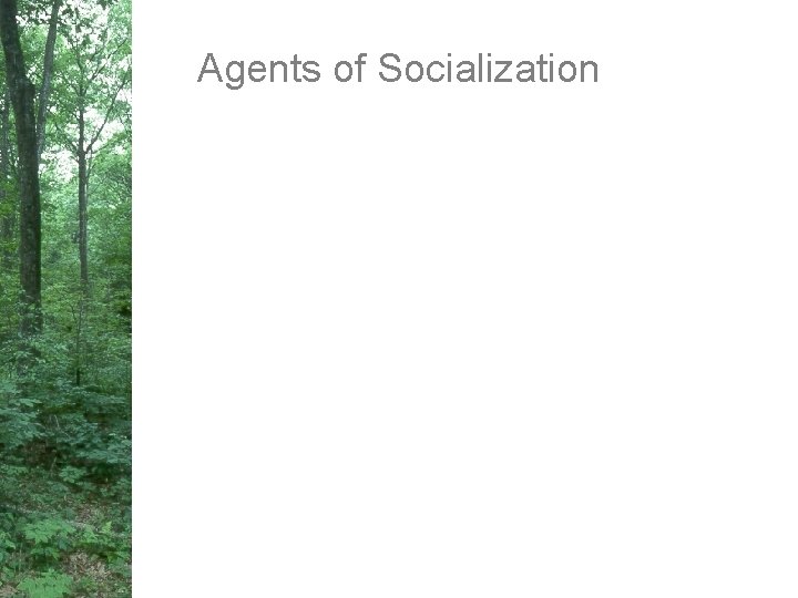 Agents of Socialization 