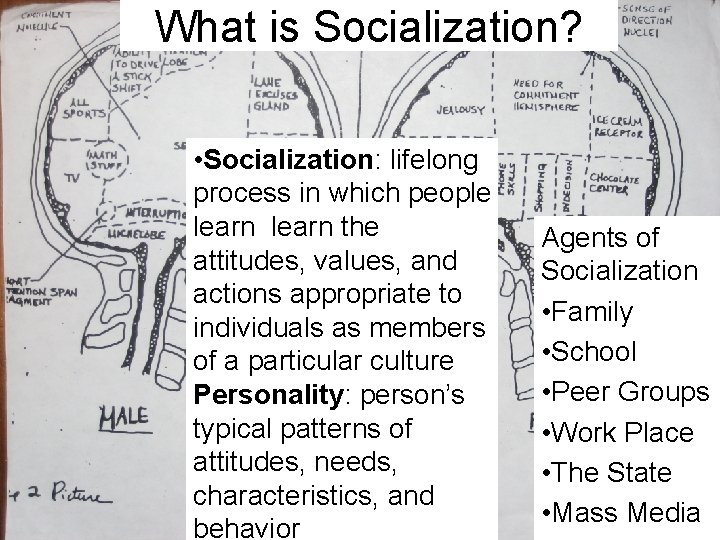 What is Socialization? • Socialization: lifelong process in which people learn the attitudes, values,