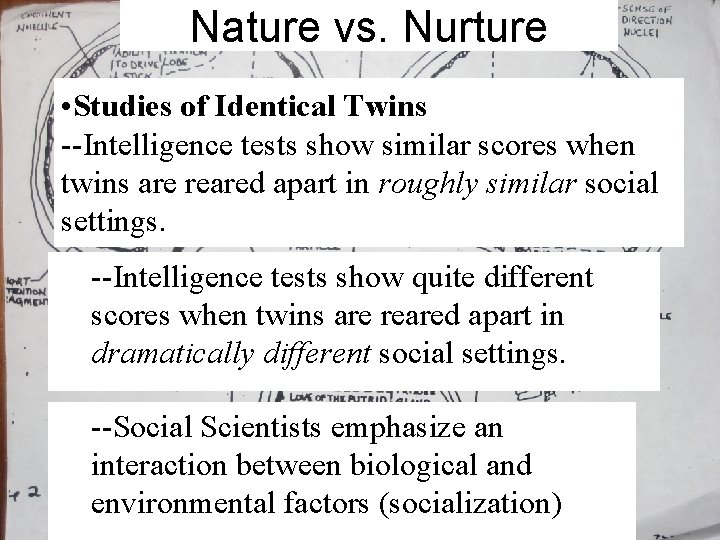 Nature vs. Nurture • Studies of Identical Twins --Intelligence tests show similar scores when
