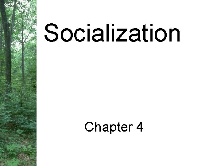 Socialization Chapter 4 