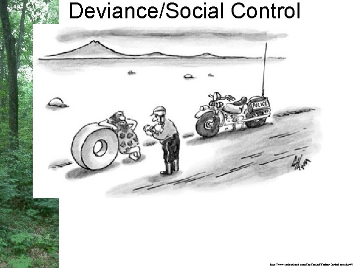 Deviance/Social Control http: //www. cartoonbank. com/Cap. Contest/Caption. Contest. aspx? id=91 