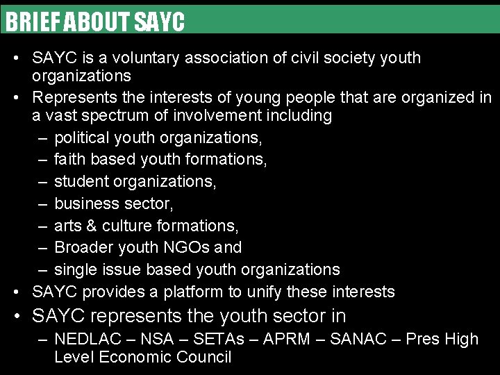 WORKING BRIEF ABOUTTOGETHER SAYC WE CAN DO MORE • SAYC is a voluntary association
