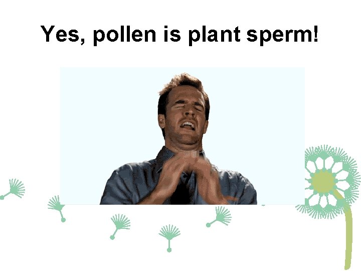 Yes, pollen is plant sperm! 