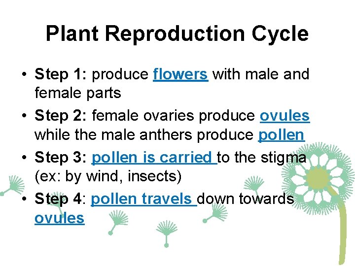 Plant Reproduction Cycle • Step 1: produce flowers with male and female parts •