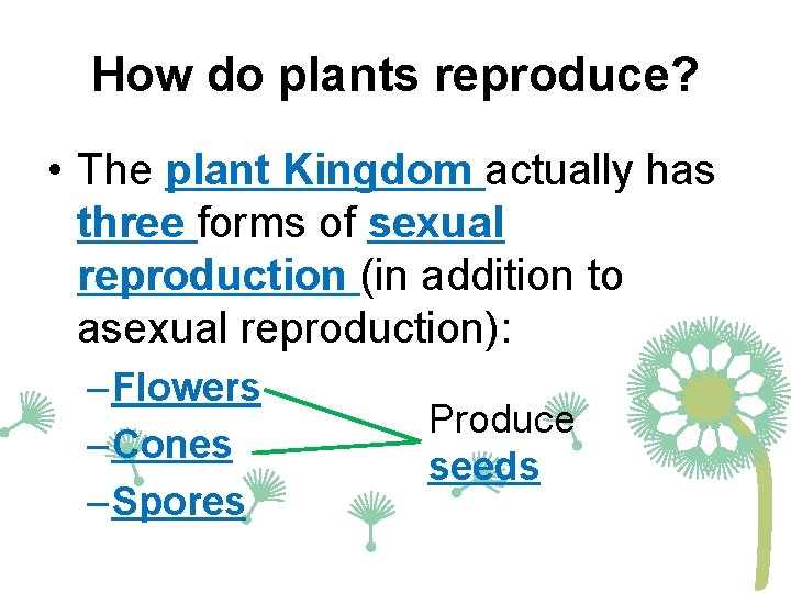 How do plants reproduce? • The plant Kingdom actually has three forms of sexual