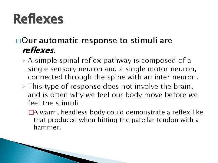 Reflexes � Our automatic response to stimuli are reflexes. ◦ A simple spinal reflex