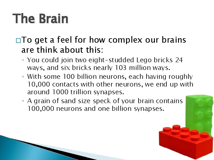The Brain � To get a feel for how complex our brains are think