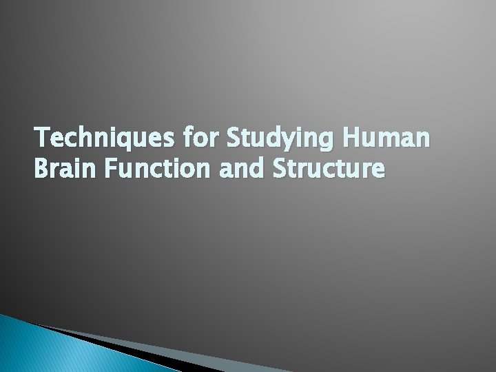 Techniques for Studying Human Brain Function and Structure 