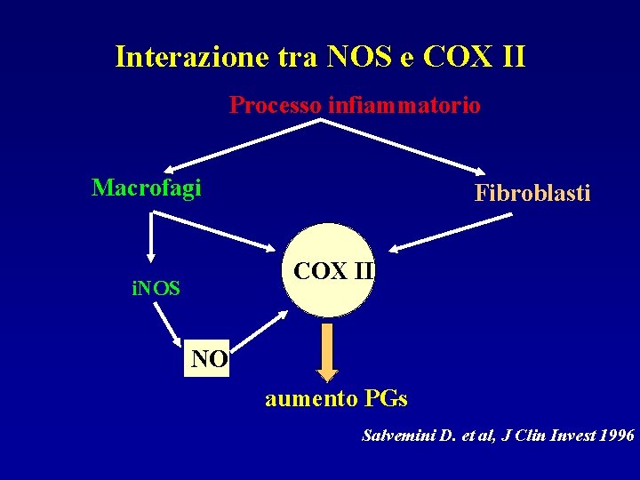 Interazione tra NOS e COX II Processo infiammatorio Macrofagi Fibroblasti COX II i. NOS