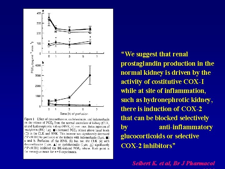 “We suggest that renal prostaglandin production in the normal kidney is driven by the