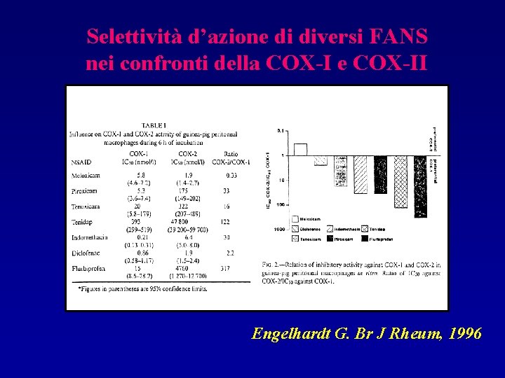 Selettività d’azione di diversi FANS nei confronti della COX-I e COX-II Engelhardt G. Br