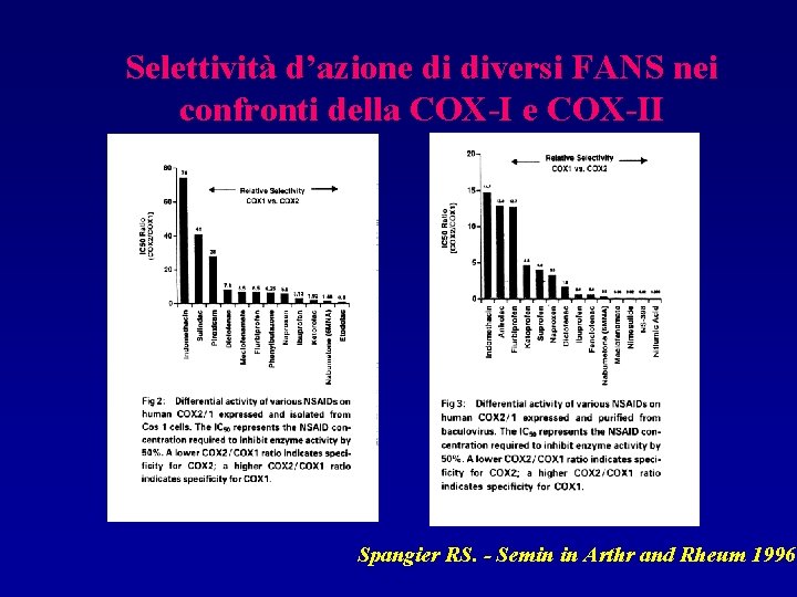 Selettività d’azione di diversi FANS nei confronti della COX-I e COX-II Spangier RS. -