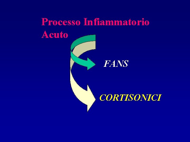 Processo Infiammatorio Acuto FANS CORTISONICI 