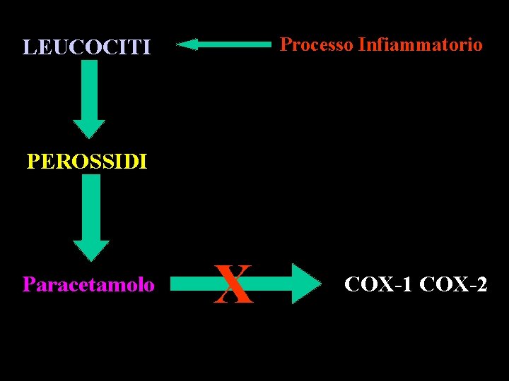 Processo Infiammatorio LEUCOCITI PEROSSIDI Paracetamolo X COX-1 COX-2 