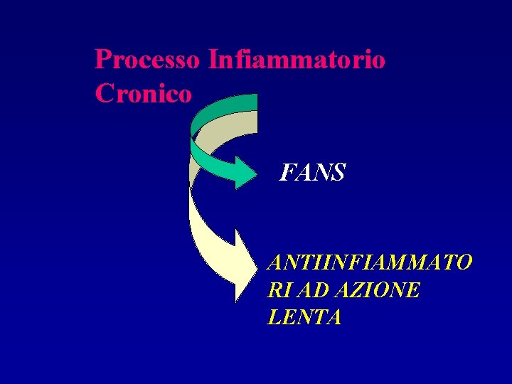 Processo Infiammatorio Cronico FANS ANTIINFIAMMATO RI AD AZIONE LENTA 