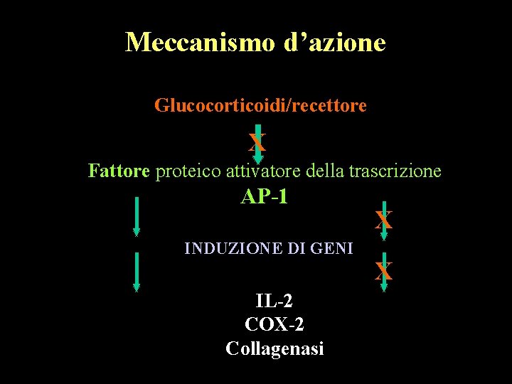 Meccanismo d’azione Glucocorticoidi/recettore X Fattore proteico attivatore della trascrizione AP-1 INDUZIONE DI GENI IL-2