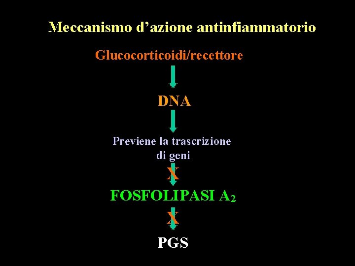 Meccanismo d’azione antinfiammatorio Glucocorticoidi/recettore DNA Previene la trascrizione di geni X FOSFOLIPASI A 2