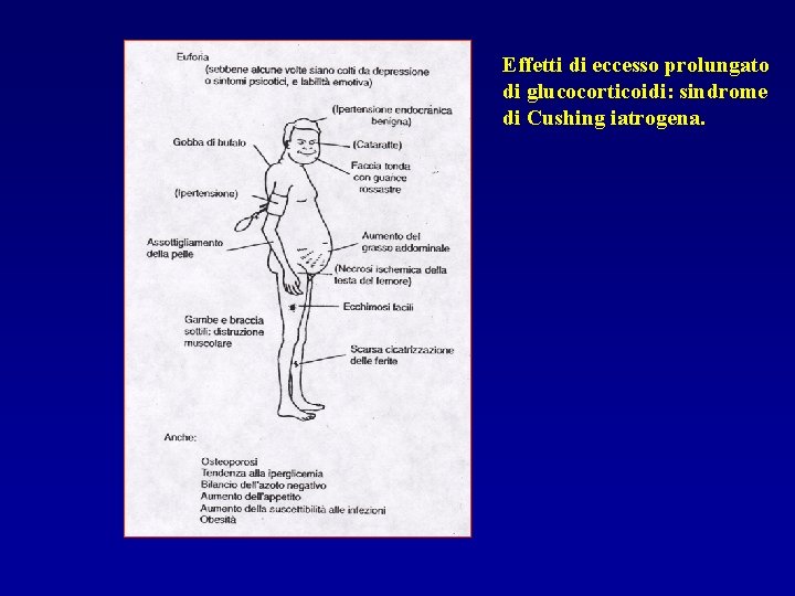 Effetti di eccesso prolungato di glucocorticoidi: sindrome di Cushing iatrogena. 