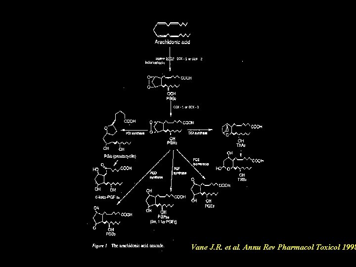 Vane J. R. et al. Annu Rev Pharmacol Toxicol 1998 