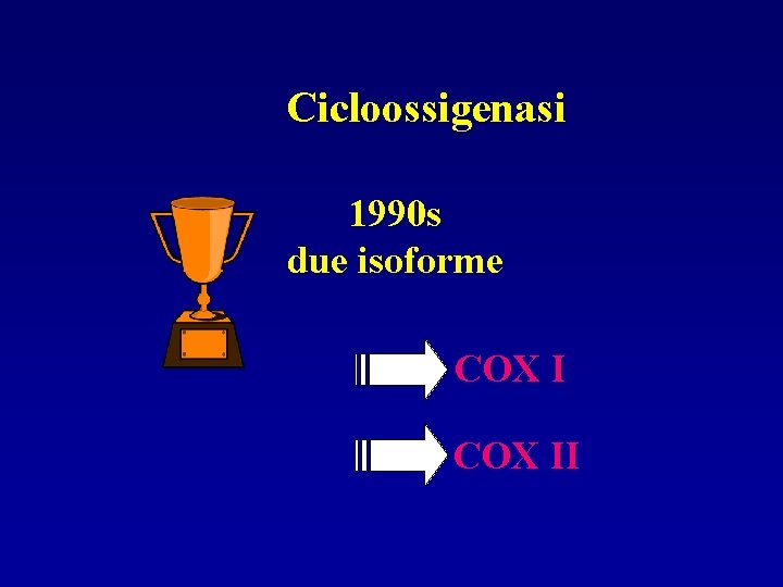 Cicloossigenasi 1990 s due isoforme COX II 