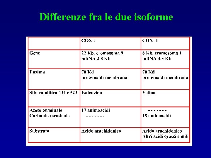 Differenze fra le due isoforme 