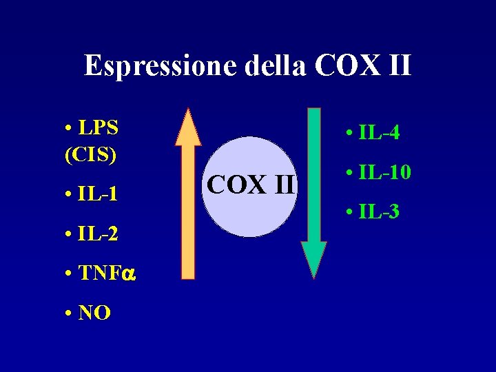 Espressione della COX II • LPS (CIS) • IL-1 • IL-2 • TNF •