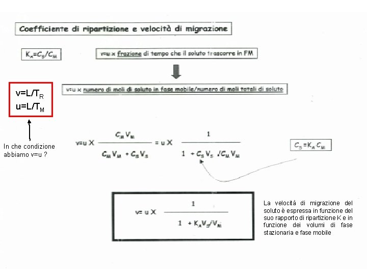 v=L/TR u=L/TM In che condizione abbiamo v=u ? La velocità di migrazione del soluto