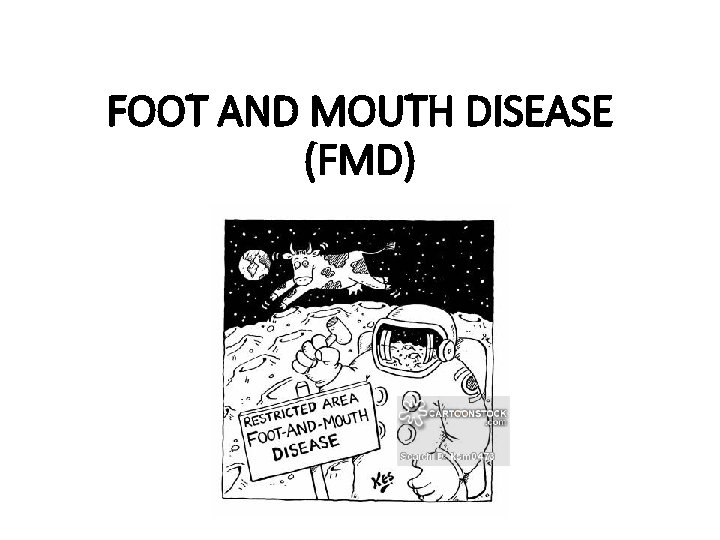 FOOT AND MOUTH DISEASE (FMD) 